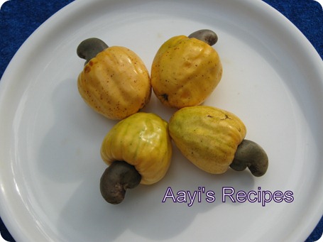 kaju modak2