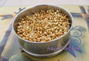 misal pav1